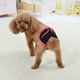 thumbnail image 4 of Pantalones fisiológicos para mascotas Pañales de reciclaje de reciclaje pegatina lavable Pantalones cortos Pantías sanitarias Absorbent Solicitudes Seguridad Suministros de uso negro M Inevent PT000669-08, 4 of 6