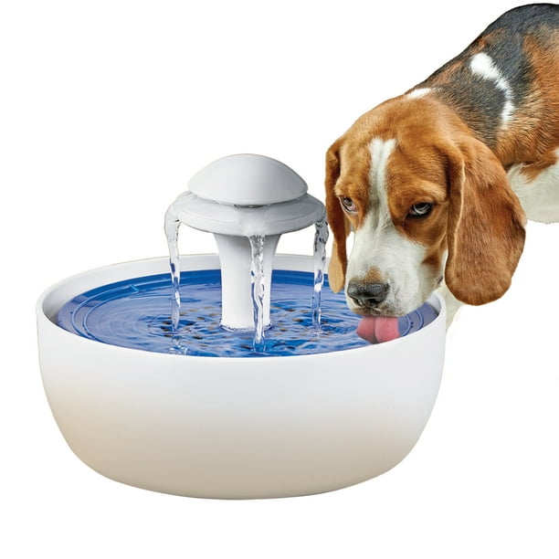 Automatic Pet Water Fountain with Charcoal Filter and Fountain for