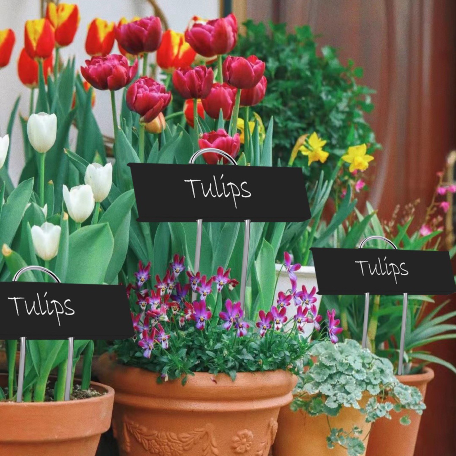 Zhuxioush Signage Greenhouse Plant Labels Plant Markers For The Garden Zhuxioush Signage Greenhouse Plant Labels Plant Markers For The Garden