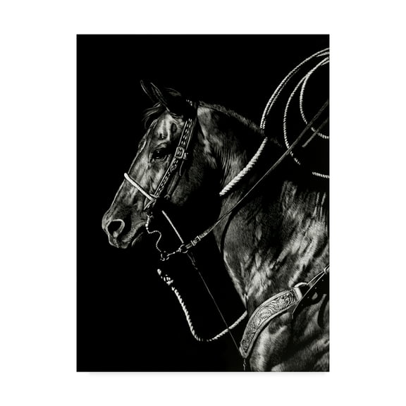 Trademark Fine Art 'Scratchboard Rodeo V' Canvas Art by Julie T. Chapman