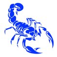 thumbnail image 2 of Flmtop Fashion Scorpion Reflective Car Vehicle Body Hood Window Decals Sticker Decor, 2 of 7