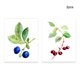 thumbnail image 2 of Adorno de arte de la pared Simple Style Fruit Themed picture Home Colgante Colgante Pinturas para colgar para el hogar Adorno de la sala de estar 4 piezas Jumpingount HA011833-00, 2 of 7