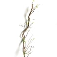 thumbnail image 1 of 90cm Fake Tree Branches Rattan Artificial Flower Vine Home Hotel Wedding DIY Decoration;90cm Fake Tree Branches Rattan Artificial Flower Vine Wedding DIY Decor, 1 of 6