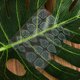 thumbnail image 5 of BESTYASH Pegatinas Autoadhesivas Transparentes Para Con Y Fácil Aplicación, 5 of 6