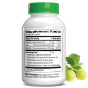 Botanic Choice Advanced Memory Complex Dietary Supplements Capsules for Brain Support with B Vitamins, Ginkgo Biloba and Choline, 60 Count