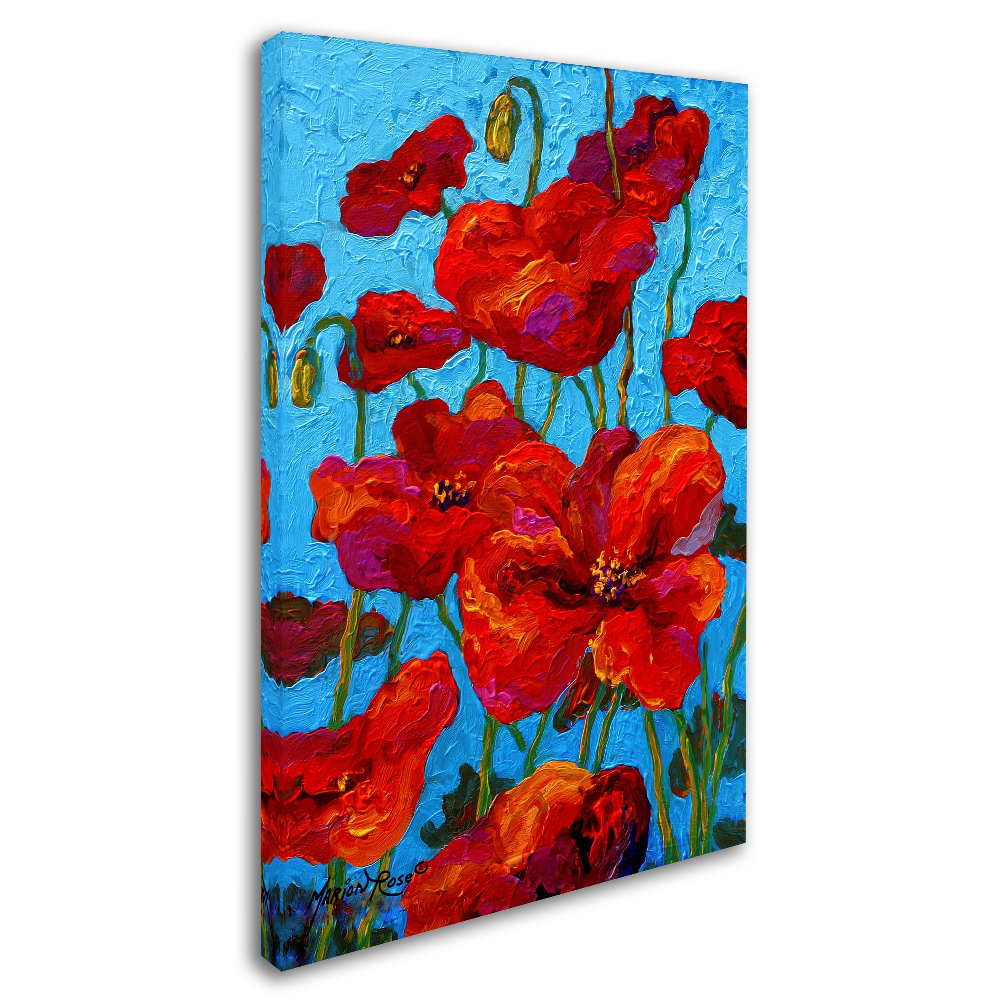 Trademark Fine Art 'Pies' Canvas Art by Marion Rose