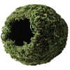 Galapagos Mossy Caves, Green, 6" Diameter