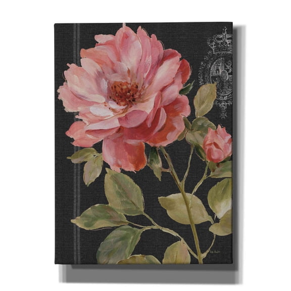 Epic Graffiti 'Harmonious Rose Black' by Lisa Audit, Canvas Wall Art, 40"x54"