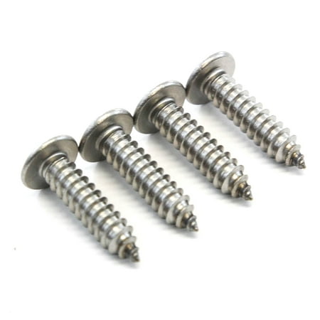 Red Hound Auto 4 Stainless Steel License Plate Screws Rust Resistant Car Truck Frame (Best Way To Remove Rust From Car Frame)