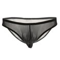 thumbnail image 2 of Calzoncillos transparentes de malla para hombre, tangas, ropa interior transparente, bragas, calzoncillos Macarena Ropa interior hombre, 2 of 7