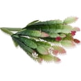 thumbnail image 3 of Paquete de 2 plantas artificiales de Cactus de aspecto Real, Material DIY para decoración del hogar, arreglo floral, 3 of 5