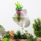 thumbnail image 3 of Macetas de pared para colgar en la pared, soporte para plantas de Terrario de cristal, jarrón de plantas hidropónicas, decoraciones verdes para pared, 2 uds., 3 of 4