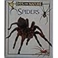thumbnail image 3 of Spiders Eyes On Nature, 3 of 3