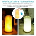 thumbnail image 1 of 3D Printed Led Lamp Night Light Touch Control 3D Printed Mood Light Usb Led Light Two-Color For Baby Room Bedroom Party Cafe, 1 of 1