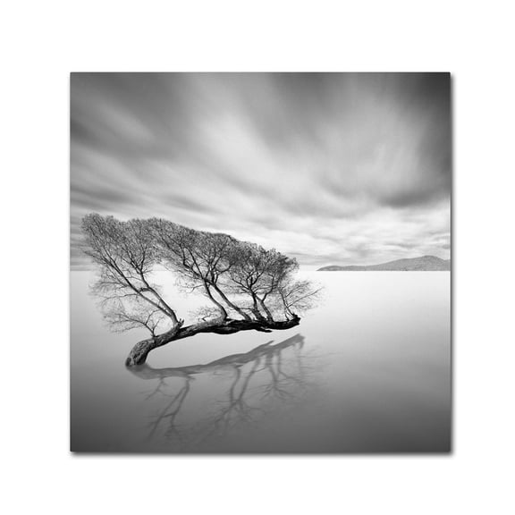 Trademark Fine Art "Water Tree VII" Canvas Art by Moises Levy