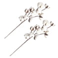 thumbnail image 3 of BRIGHTFUFU 3 unids 10 cabezas de algodón seco tallos estilo de casa de campo de flores artificiales decoración floral simulación flor diy decoración de la boda, 3 of 7