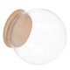 thumbnail image 1 of Glass Dome Display Cloche with for DIY Snow Globes, Preserved Flowers, Fairy Lights, Miniature Plants, and Keepsakes Decoration, 1 of 1