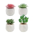 thumbnail image 1 of Pots en Céramique Géométriques Modernes Diverses Succulentes Réalistes, Lot de 4, 1 of 5