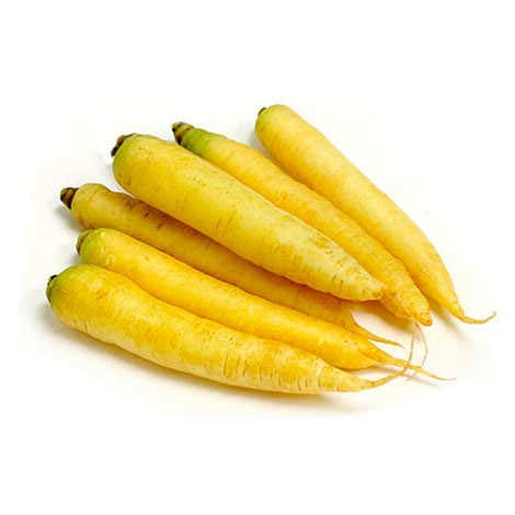 Yellow Carrot