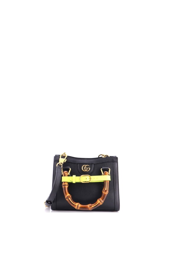 Pre-Owned Diana NM Bamboo Handle Tote Leather Mini By Rebag