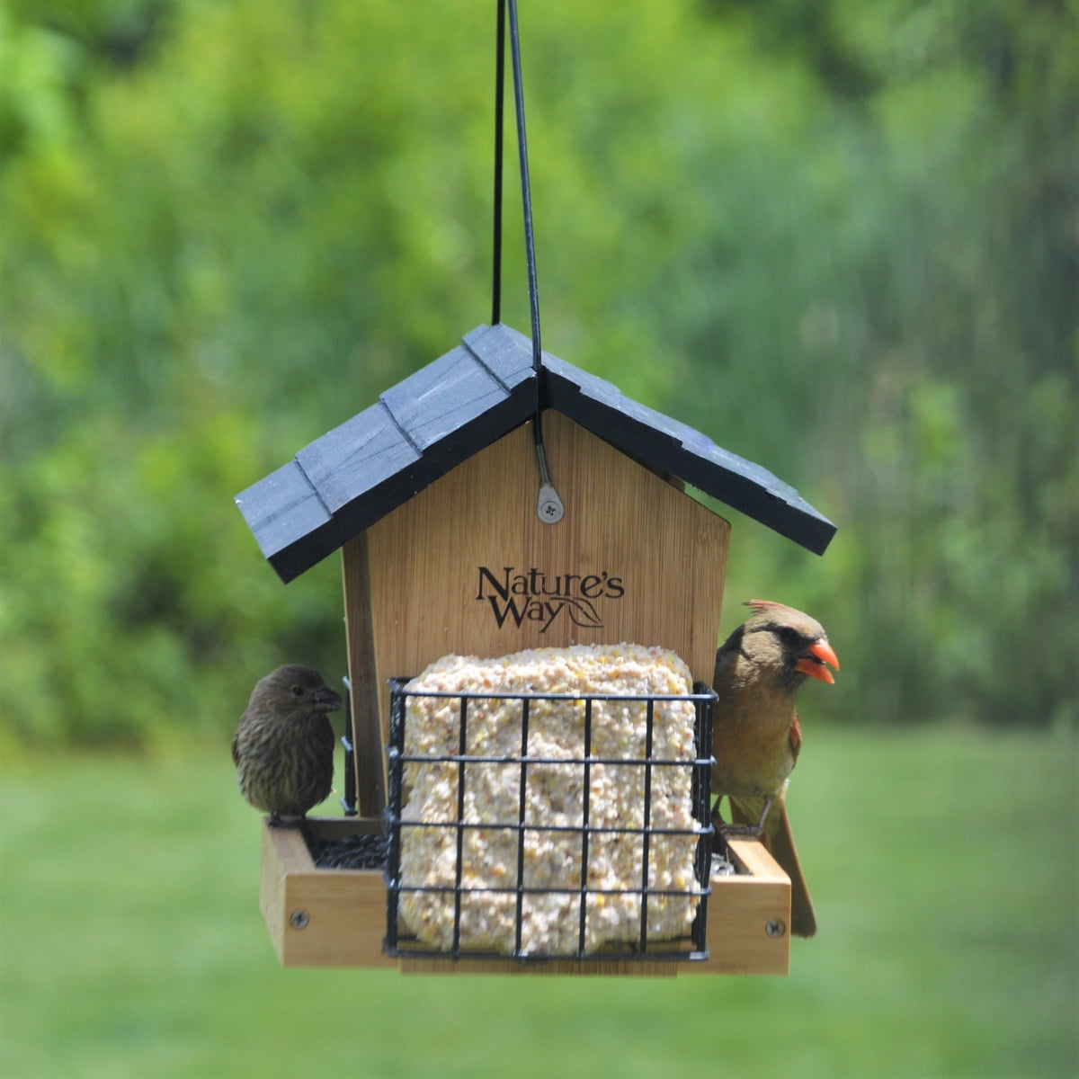 Nature's Way Bamboo Hopper Bird Feeder w/ Suet 3QT 2 Cakes, Brown