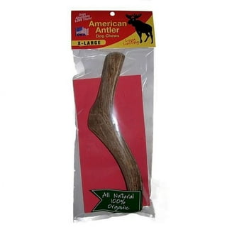 Kong antler outlet large