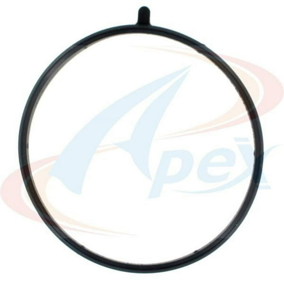 Throttle Body Gasket