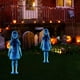 thumbnail image 1 of Hogar y jardín, Exterior y jardín, Jardinería, Regalo de jardín, Decoraciones de Halloween. Par de estatuas de fantasmas: estacas de hierro para jardín, para exhibiciones espeluznantes al aire libre,, 1 of 6