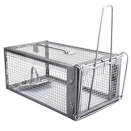 rat cage walmart