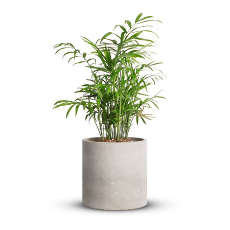 Mozing Breathable Cement Plant Pots - 8.2 x 8.2 inch Gray Planter Pot with Drainage Hole