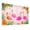 Color 4, variant on 8 Pack Art Acoustic Panels Sound Absorbing Pink Jellyfish Floating Soft Watercolor Decorative Soundproof Wall Panels Self Adhesive for Nursery Game Room Bedroom 48"x32"