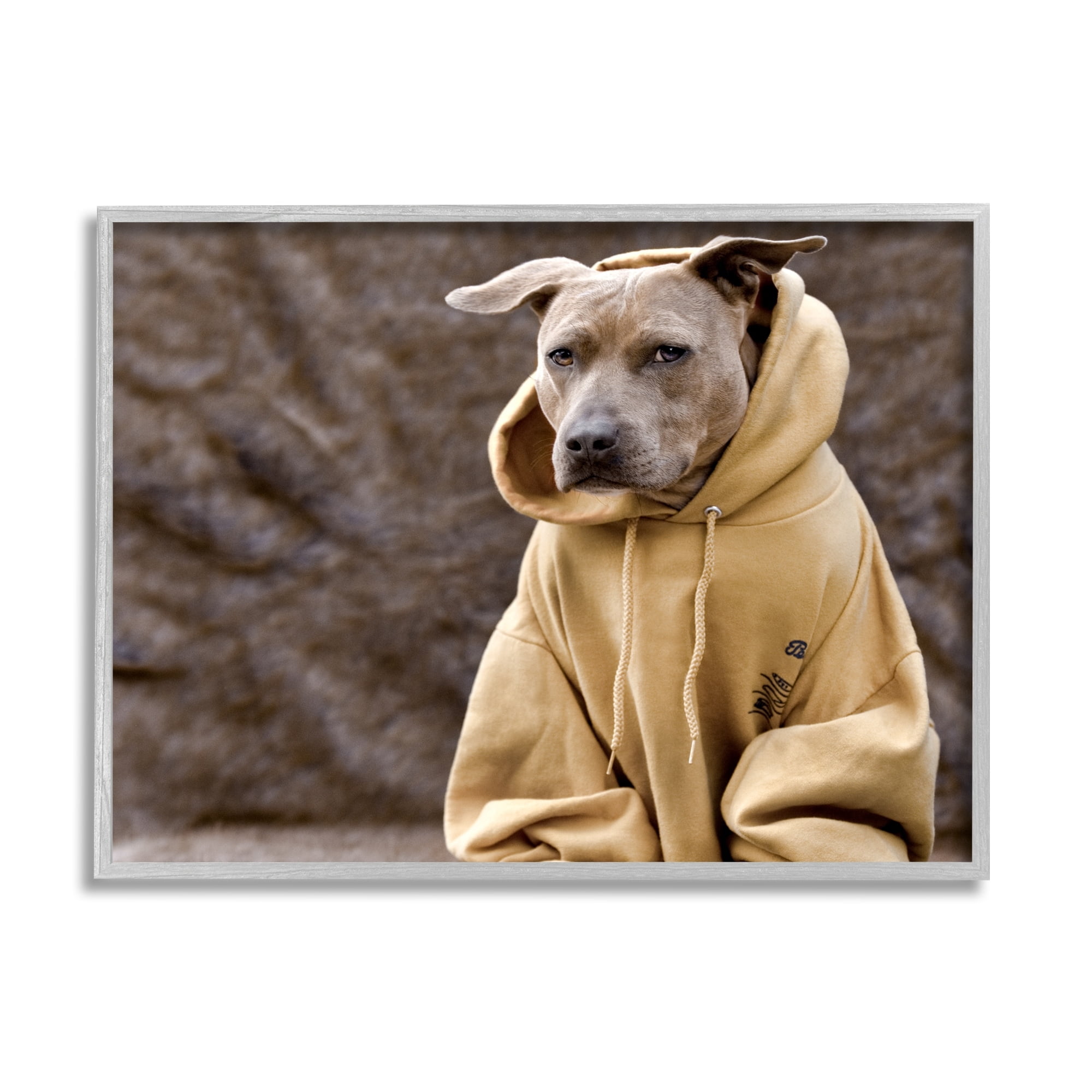 Stupell Industries Beautiful Dog Wearing Cozy Yellow Hoodie Photography Photograph Gray Framed Art Print Wall Art, Design by Michael Brian