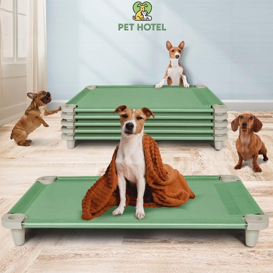 Acrimet Elevated Cooling Dog Bed, Breathable Mesh Cot, Stainless Steel Frame, Fits Dogs Up to 110 lb, Green, 40 x 24 in