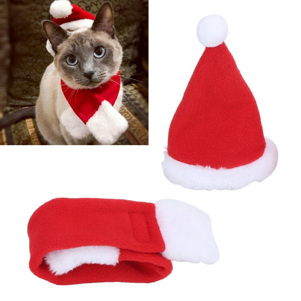 Cat christmas cheap clothes