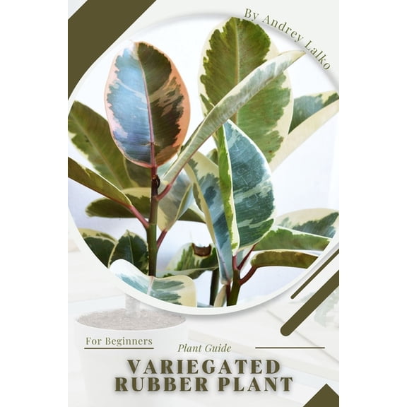Variegated Rubber Plant : Plant Guide (Paperback)