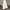 White, variant on Hamky Flare Pants Lounge Pants Women Womens Casual Wide Leg Pants Flowy Elastic Drawstring Waist Palazzo Pants With Pockets Casual Pants for Women Work Pants Women A L