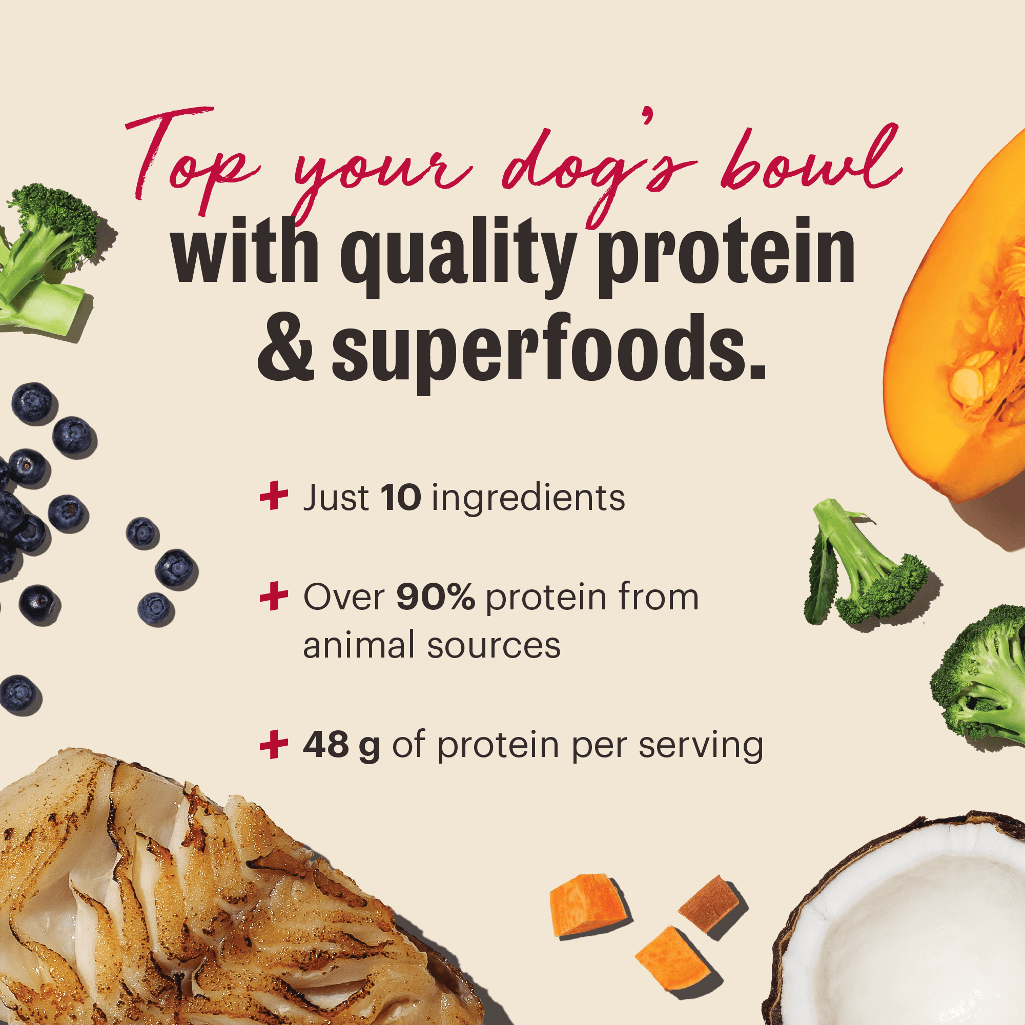 The Honest Kitchen Protein Plus Dehydrated Dog Food Topper, Human Grade High Protein Fish Meal Topper with Superfoods, Grain Free for Picky Eaters, Digestive Support, Just Add Water, 12 oz Pouch