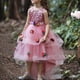 thumbnail image 2 of Vestido Para Niñas Ropa Para Niñas Bebés Vestido Para Niños Vestido De Princesa De Manga Larga Vestido Largo Rosa Odeerbi LM103-1935, 2 of 6