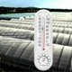 thumbnail image 2 of Garden Humidity Meter, Greenhouse Thermometer Hygrometer Plant Digital Plant Temperature Gauge Humidity Meter Wall Hanging Outdoor Garden Yard Digital, 2 of 5