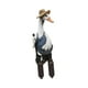 thumbnail image 3 of Letrero acrílico decorativo de pato plano 2D para jardín, linda figura de animal para decoración de patio Pato macho, 3 of 9
