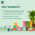 thumbnail image 7 of ECO SOUL 3Ply Bamboo Septic Safe Toilet Paper, 36 Rolls Per Carton, 7 of 7