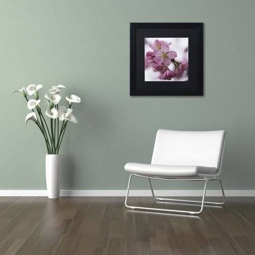 Trademark Fine Art "Cherry Pink" Canvas Art by Kurt Shaffer, Black Matte, Black Frame