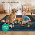thumbnail image 4 of ODIKA 4'x6' Ultra-Soft Area Rug, Abstract Distressed Sunset Ridge Border Round Wave Landscape Refined Structured None Washable, Bare feet friendly, Silk-Touch for Bedroom Home office, 4 of 7