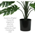 thumbnail image 3 of The Mod Greenhouse Faux Green Monstera Plant in a Black Matte Planter Pot 39, 3 of 5