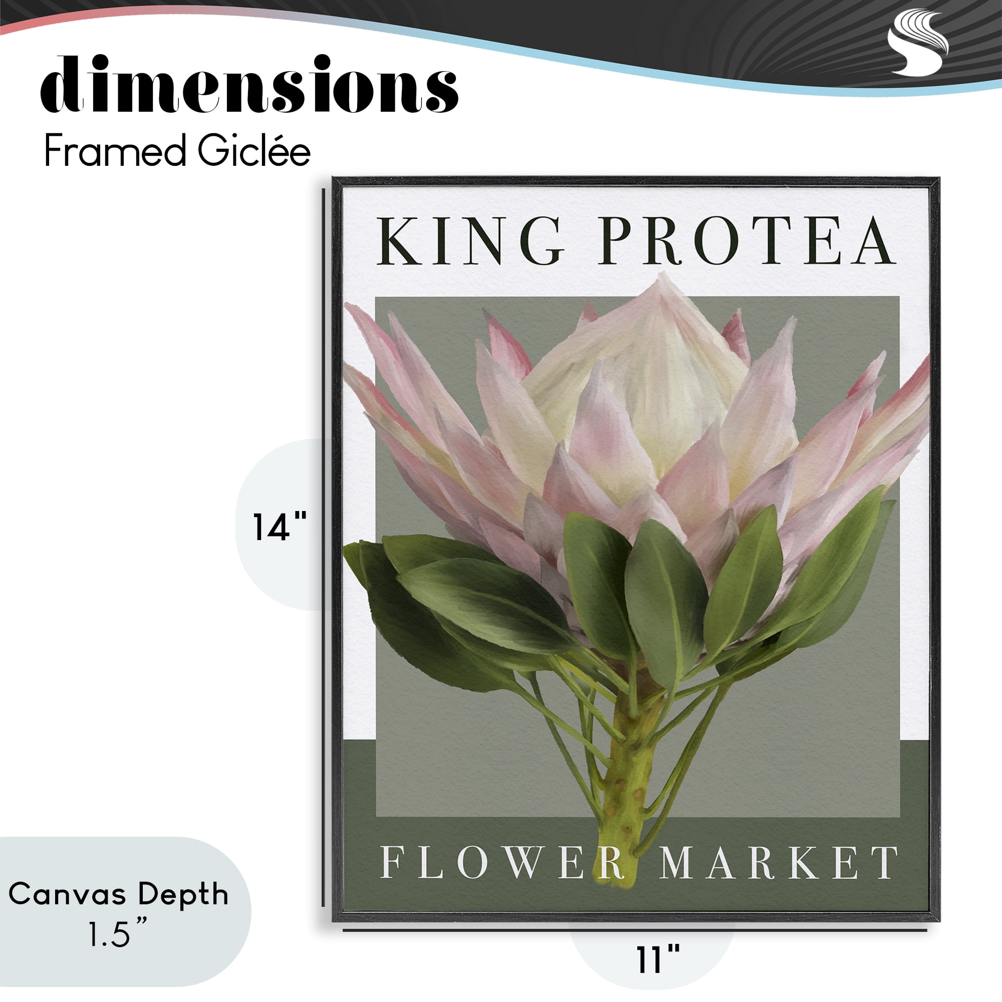 Stupell Industries King Protea Flower Market Black Framed Giclee Art, design by Jennifer Stith
