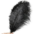 thumbnail image 2 of Black Ostrich Feathers,Bexikou 20 Pcs 8-10 inches Natural Ostrich Feathers Plumes for Wedding Party Centerpieces, Home Decorations and DIY Crafts, 2 of 8