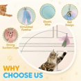 thumbnail image 4 of Interactive Cat Feather Toys, Suction Cup Cat Teaser Wand Toy for Indoor Cats, Kitten Scratching Exercise, 4 of 5