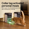thumbnail image 3 of Comedero automático para gatos PETLIBRO mejorado RFID 3L con Wi-Fi 5G, 3 of 8