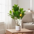 thumbnail image 3 of QinaQin 2 Pack Artificial Lemon Trees 19.7" Faux Plants with White Marble-Look Pot, Indoor Lemon Decor, 3 of 6