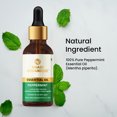 thumbnail image 3 of Khadi Organique Peppermint Essential Oil for Anti-Acne & Stress Relief | Calming & Soothing - 15 ml, 3 of 5